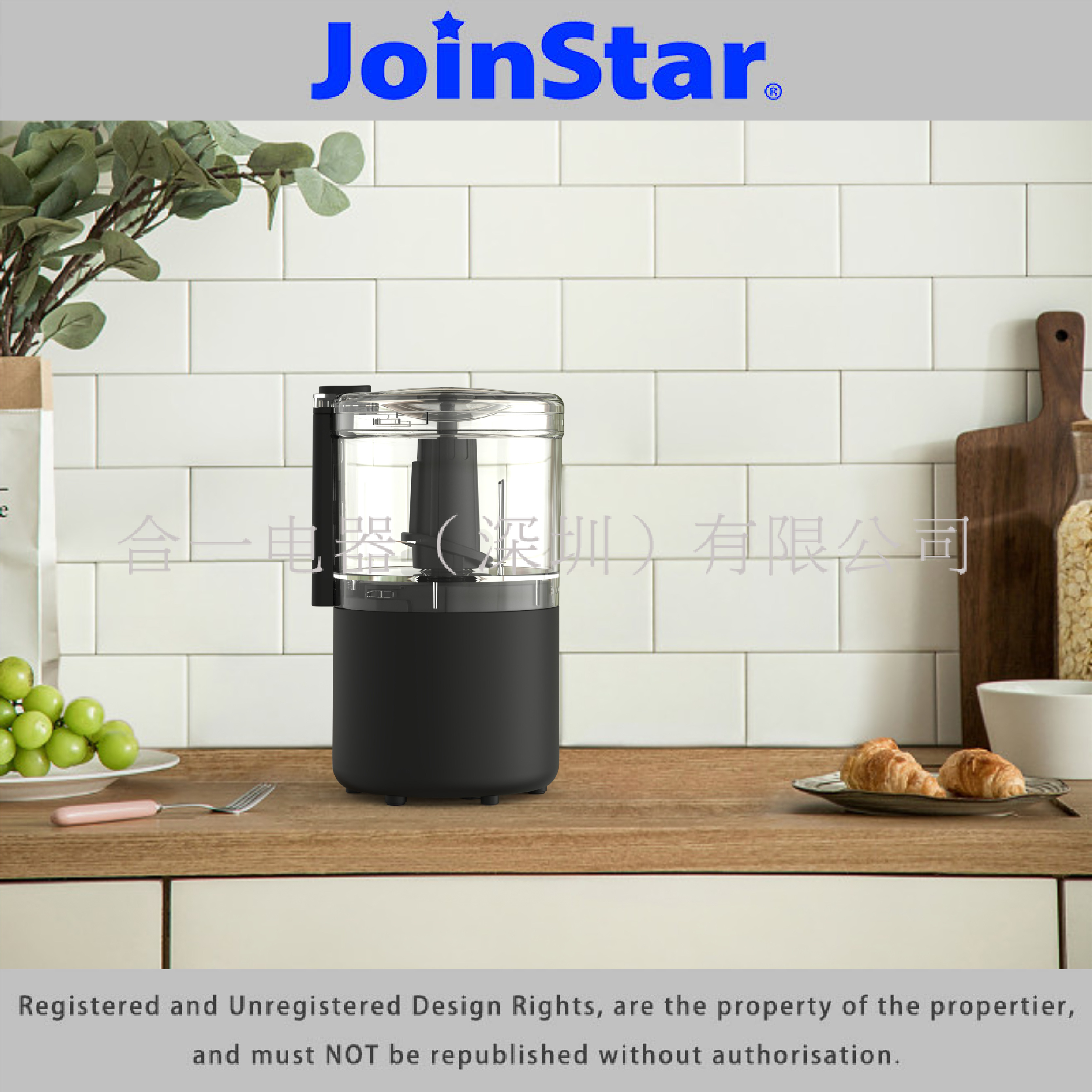 Mini Food Chopper
