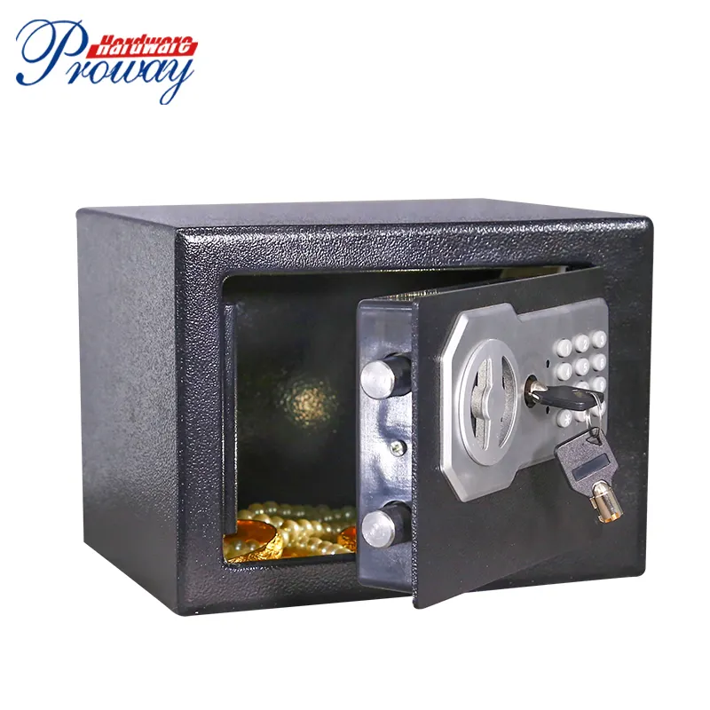 Electronic Digital homesafe