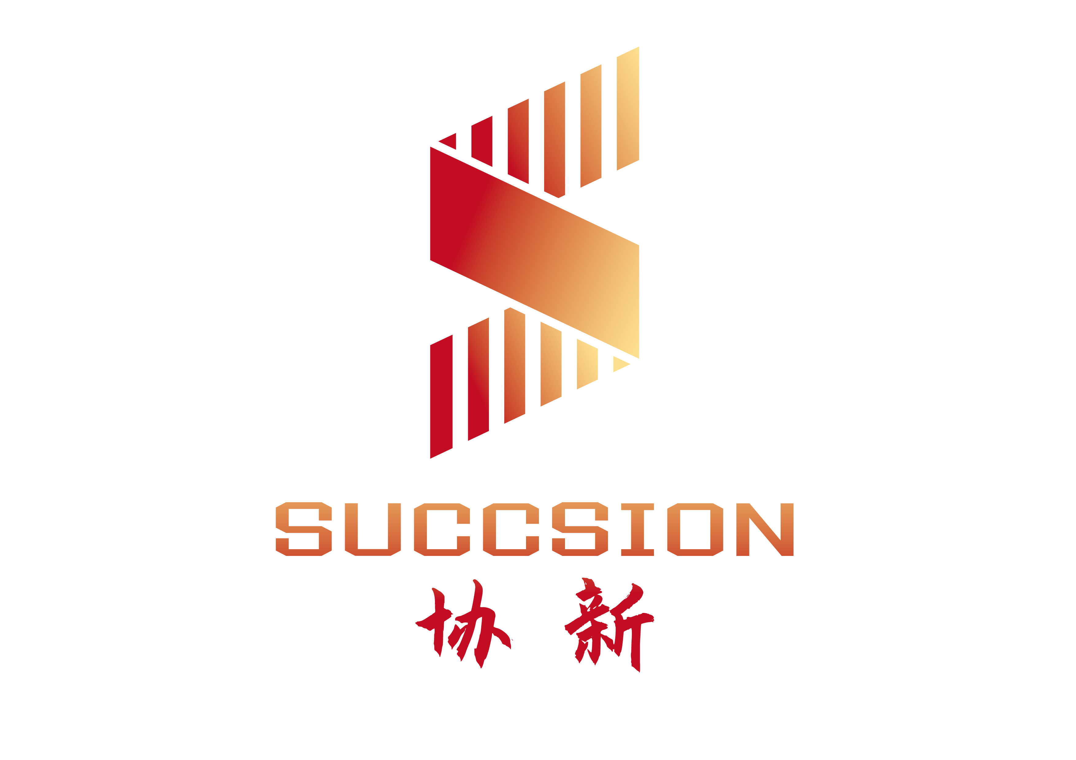 Xiexin (Shanghai) Industrial Development Co., Ltd. – motor eléctrico 1