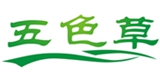 Renqiu Dingding Artificial Plants Factory