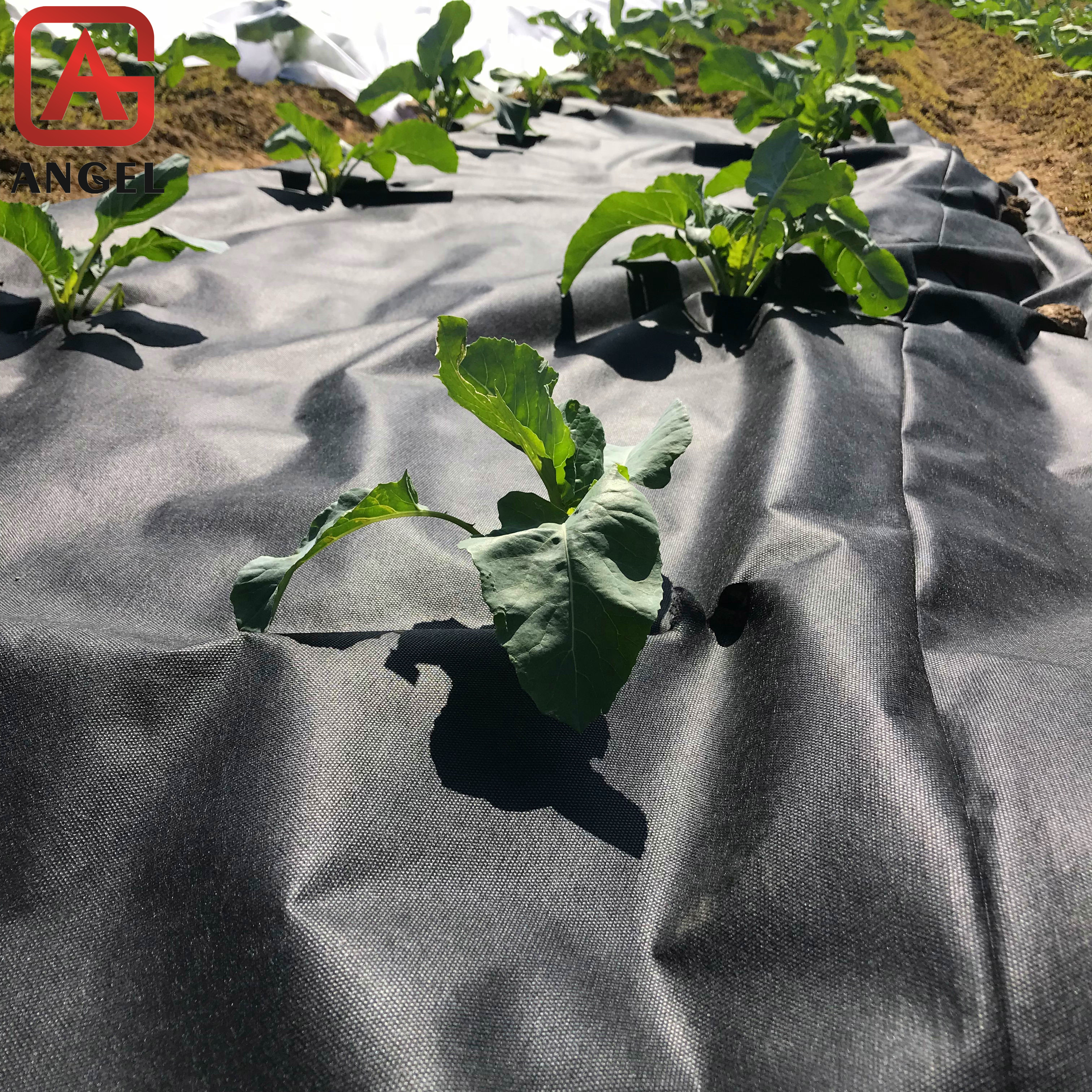 Angel Agricultural grass removal mat environmental protection black anti-UV