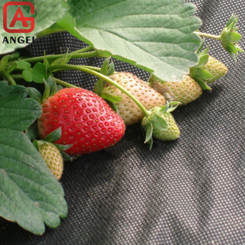 Angel 50g Agriculture Weed Control Mat Anti-weed