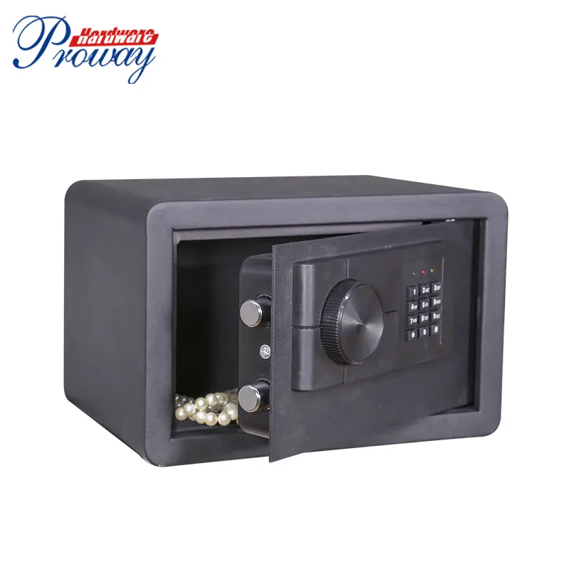protable electronic digital safe