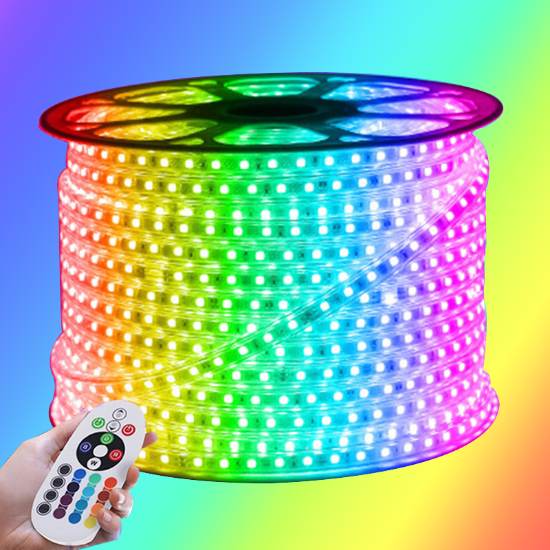 High power 220V rgbw led strip 110v led strip light with remote