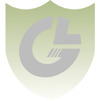 Jiaxing Guanglai Automobile Parts Co., Ltd.