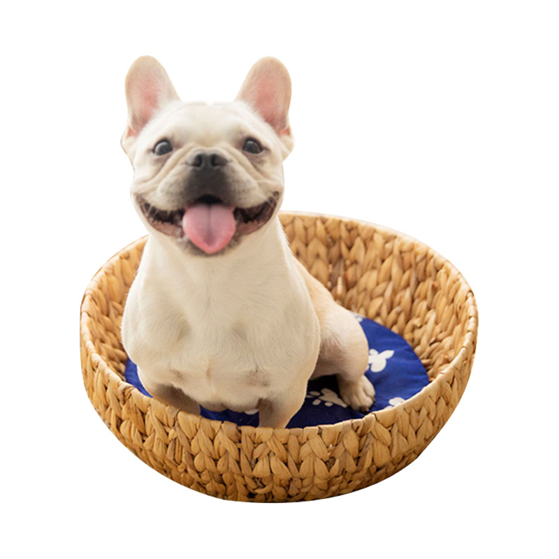 Pet bed