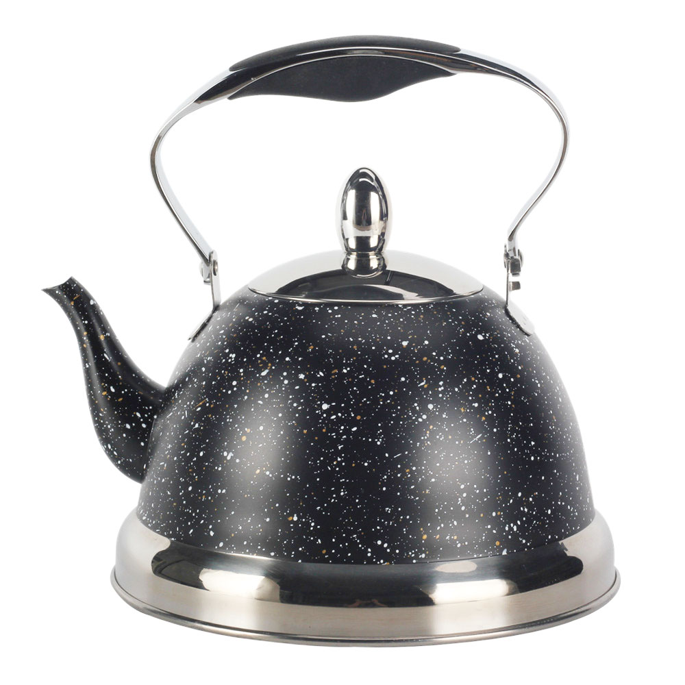 Stainless steel whistling kettle