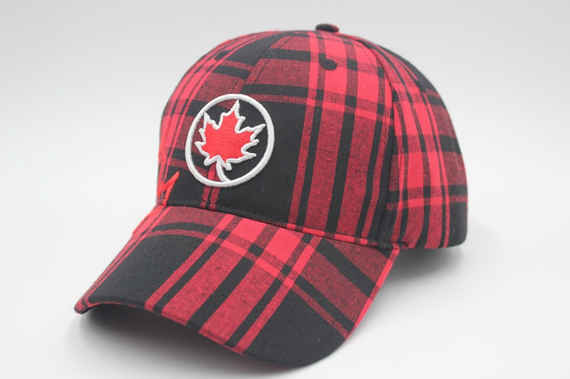 Plaid embroidery baseball cap