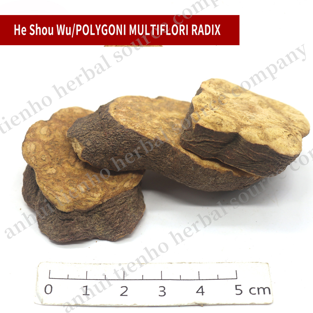 Polygoni Multiflori Radix