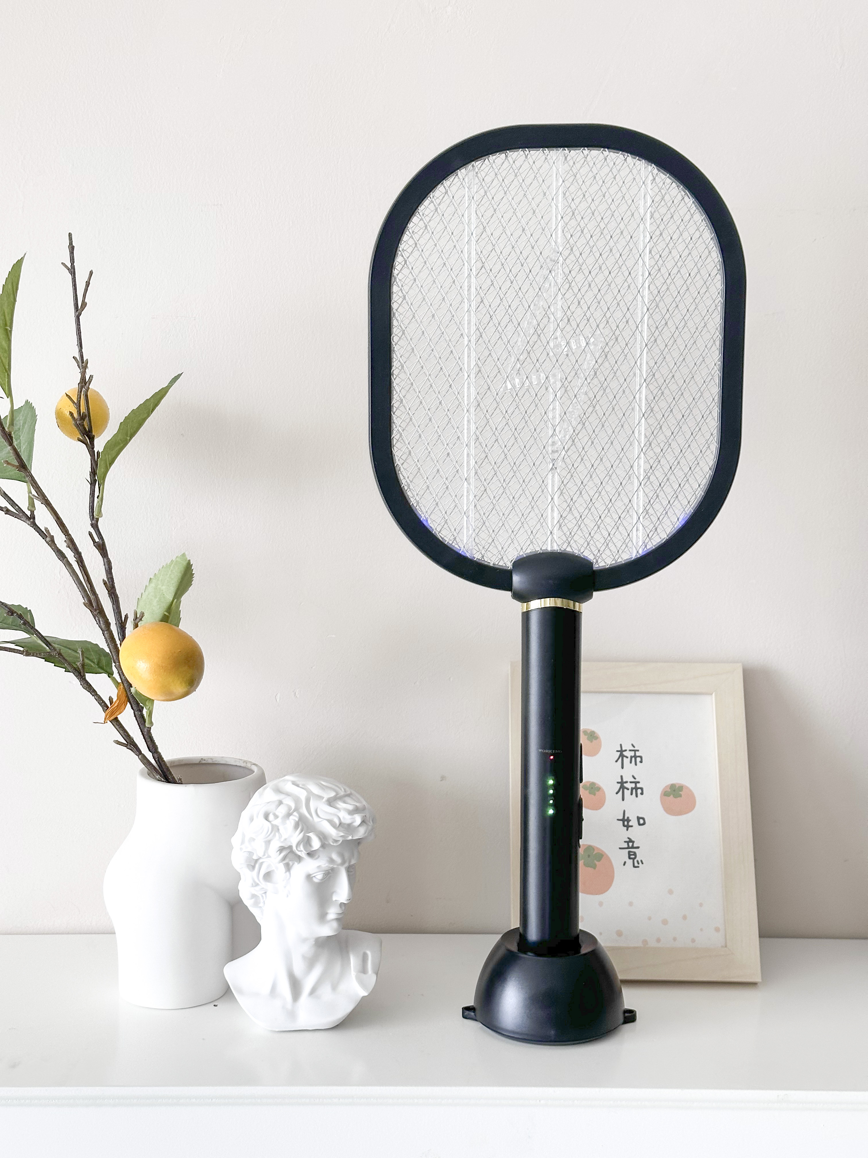 Rechargeable 2 in 1 mosquito satter