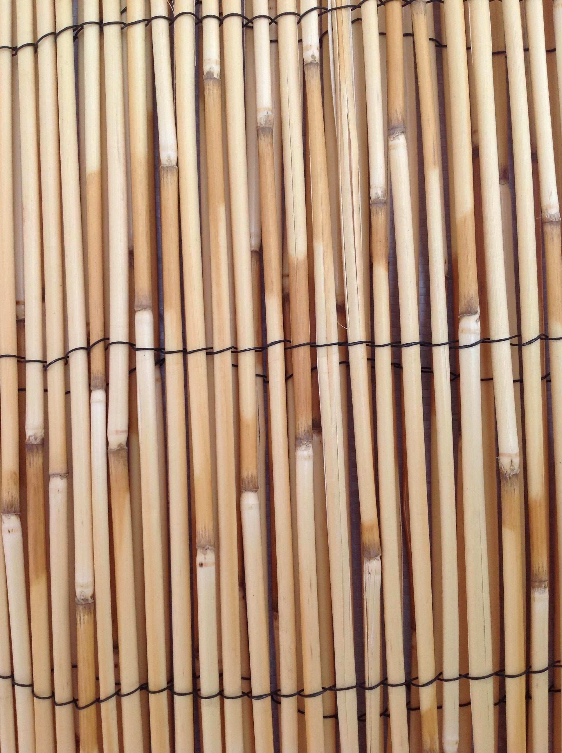 reed fence reed screen reed mat reed screening reed fencing reed decoration
