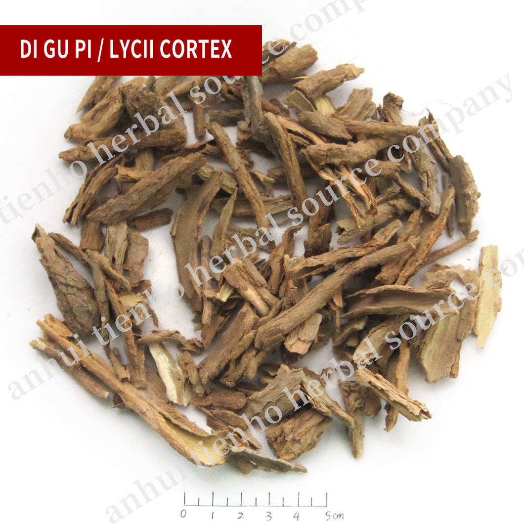 Lycii Cortex, Di Gu Pi