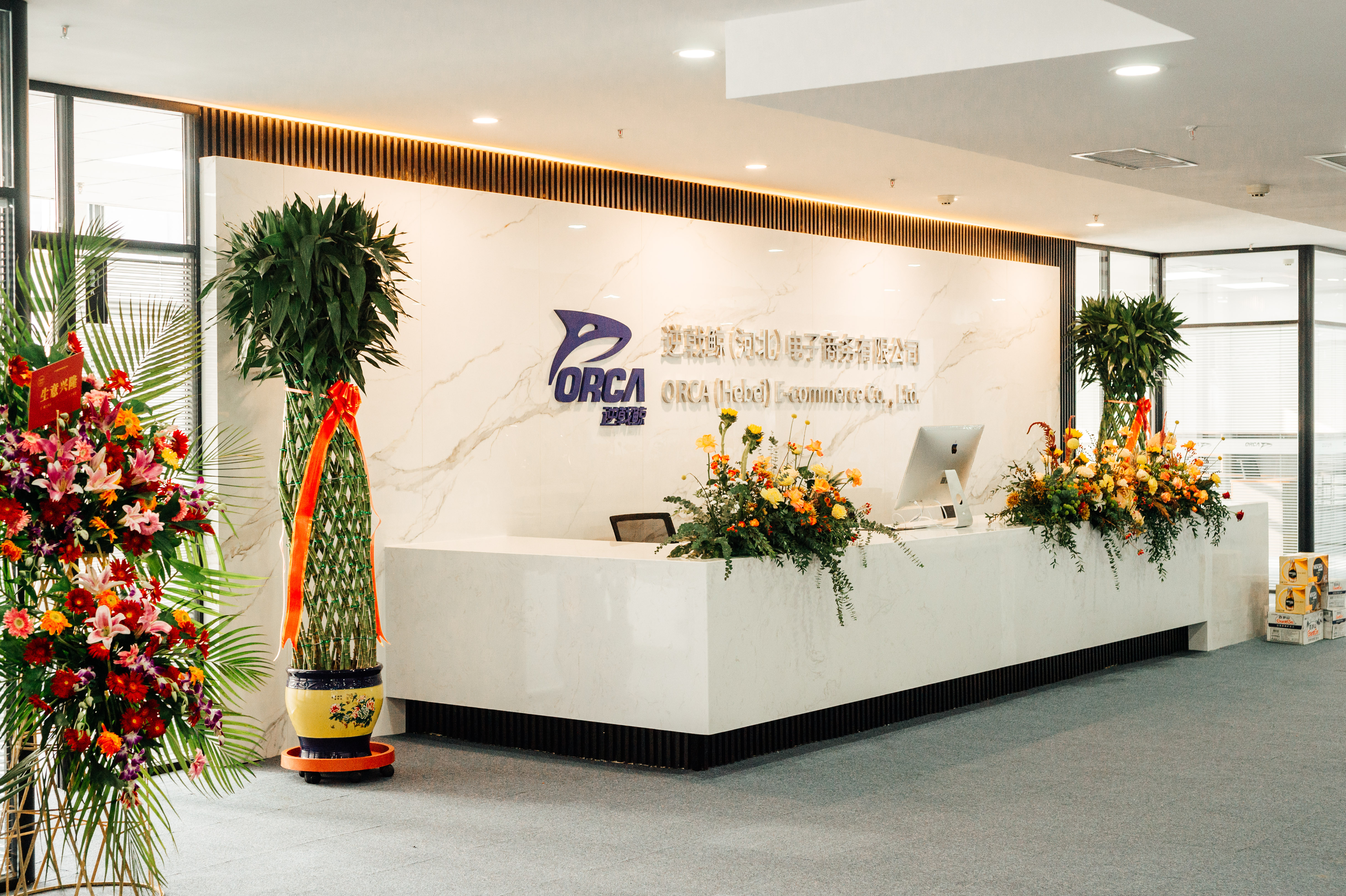 Orca (Hebei) E-commerce Co., Ltd. – placa de circuito 1