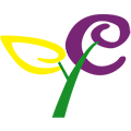 ZHONGSHAN HUICAI ARTIFICIAL FLOWER CO.LTD
