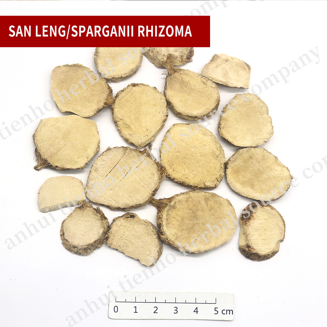 Sparganii Rhizoma