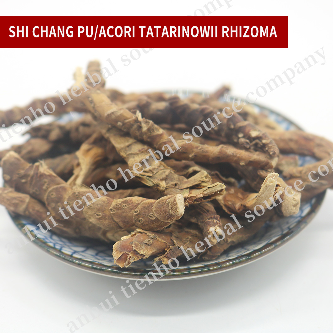 Acori Tatarinowii Rhizoma