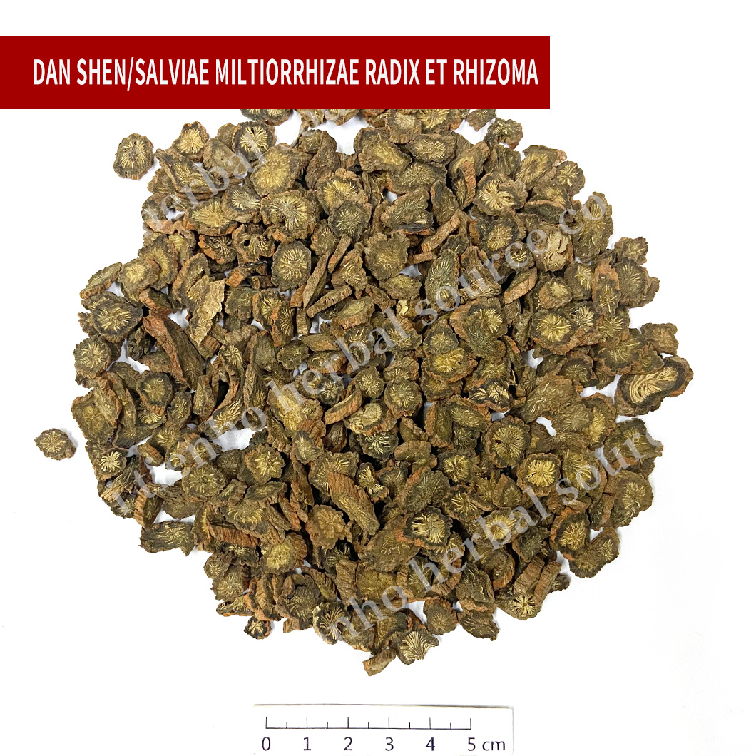 Salviae Miltiorrhizae Radix Et Rhizoma