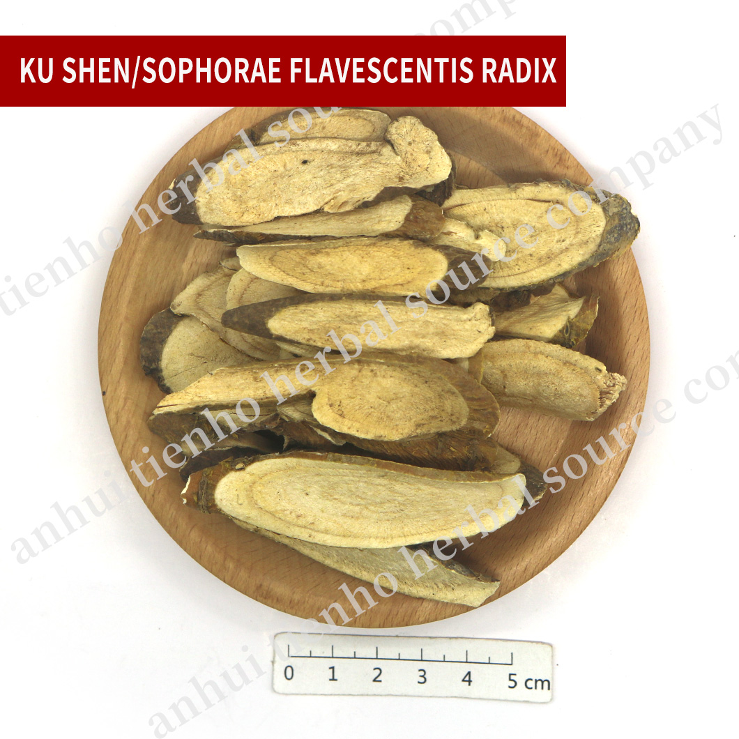 Sophorae Flavescentis Radix