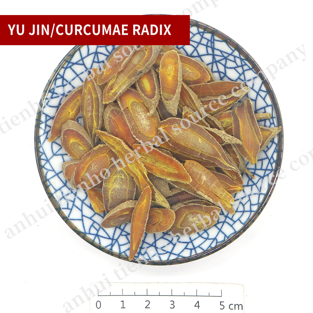 Curcumae Radix