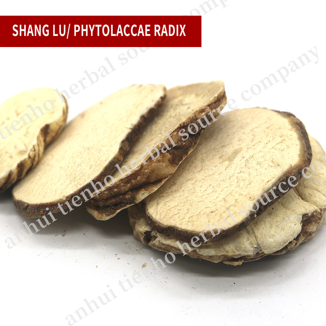 Paridis Rhizoma