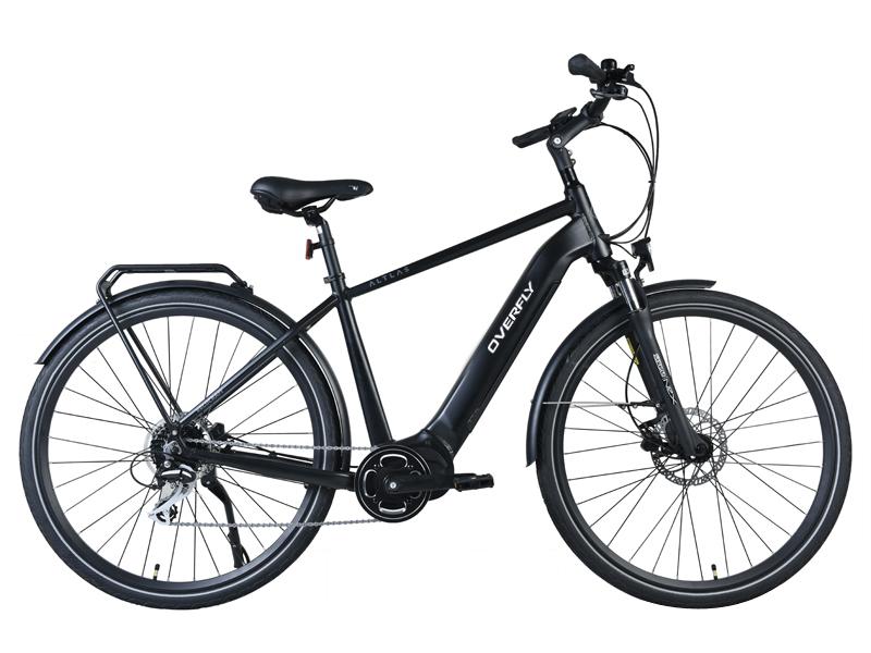 Zhejiang Overfly Electric Vehicle CO.,LTD – Female E-bike 3