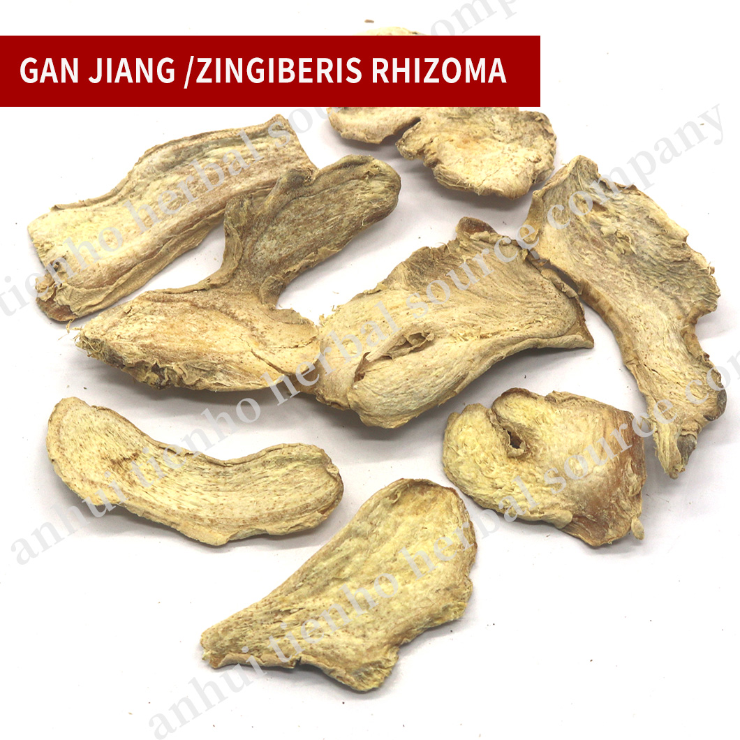 Zingiberis Rhizoma