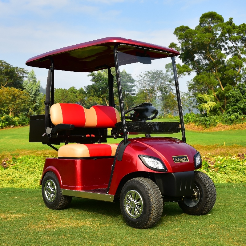 ZHONGSHAN ETECH ELECTRIC VEHICLE CO., LTD. – llanta de caucho 2