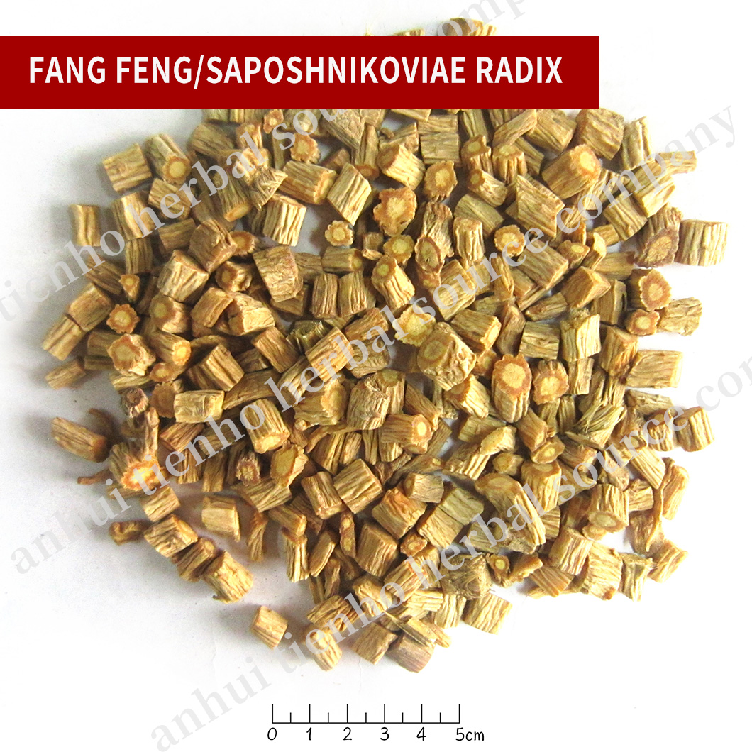 Saposhnikoviae Radix