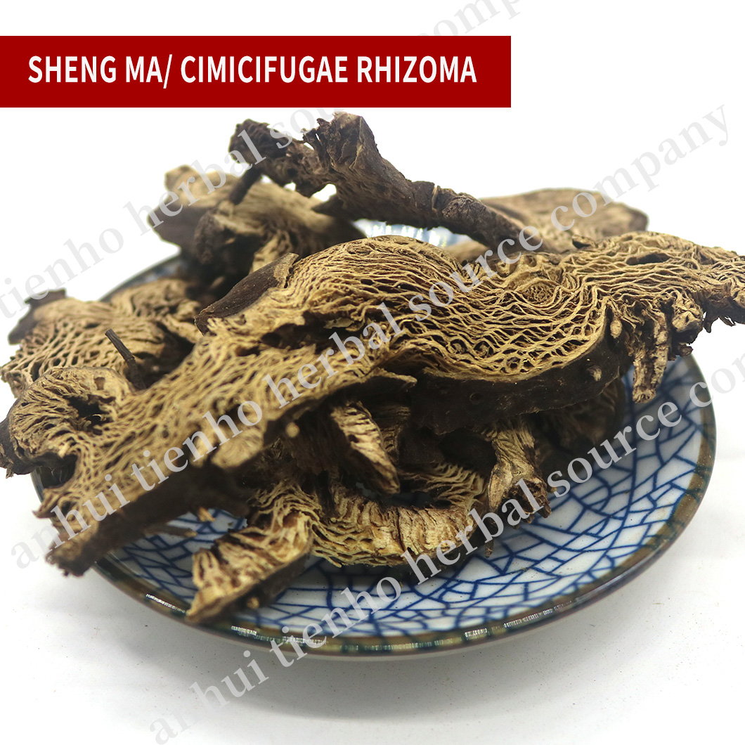 Cimicifugae Rhizoma