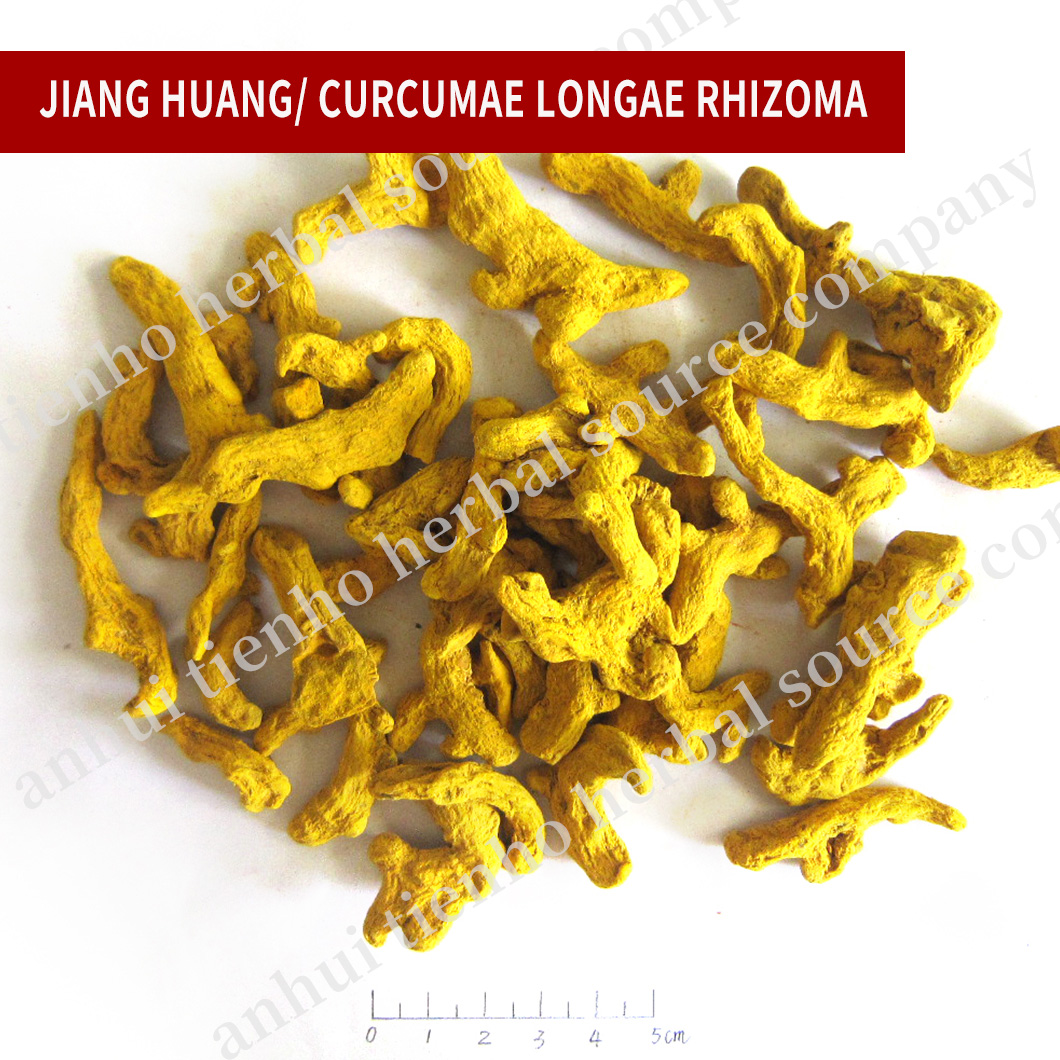 Curcumae Longae Rhizoma