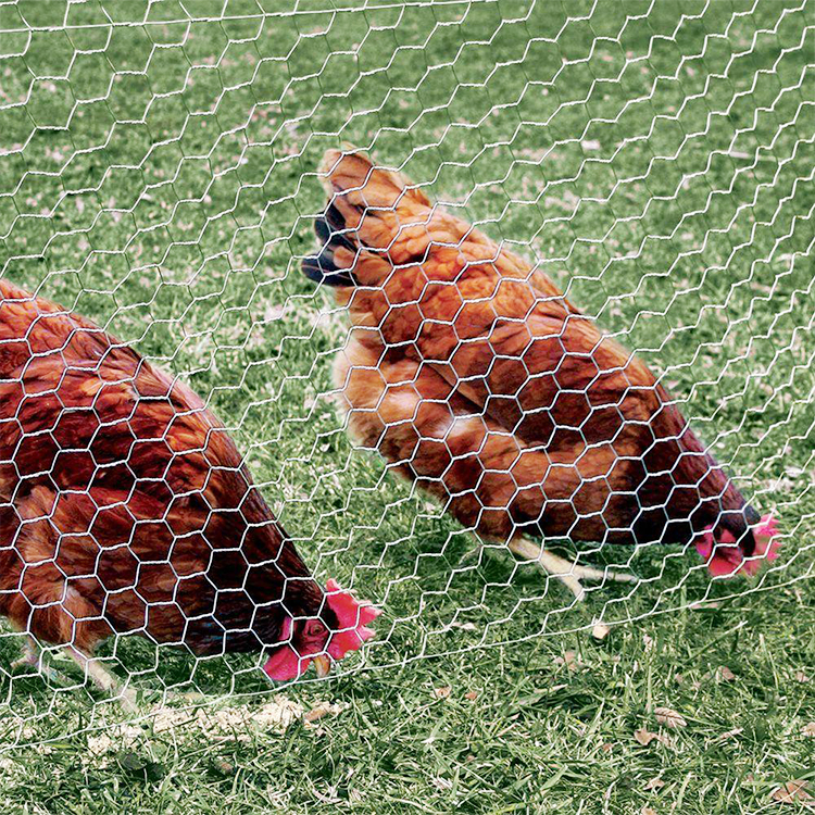Wire Mesh Hexagonal Mesh Wire Mesh BWG18 1" Chicken Wire Netting Galvanized Mesh For Bird Cage Chicken mesh