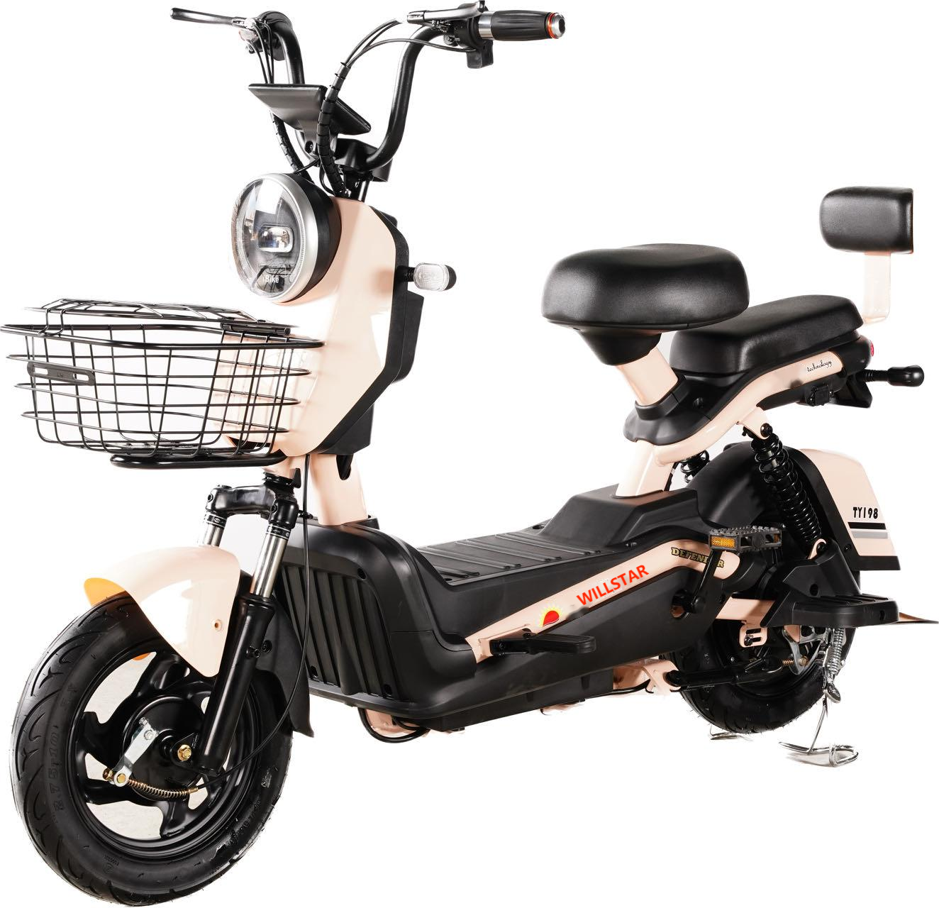 Willstar Electric Bicycle