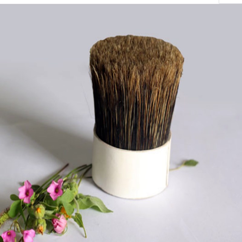 Nature wild bristle