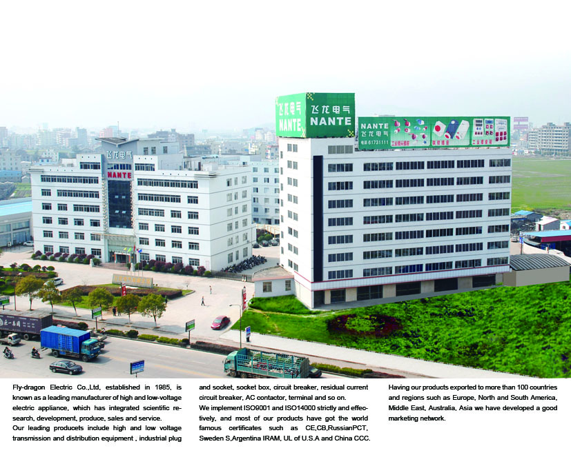 Wenzhou Feilong Electric Co., Ltd. – Photos produits 1