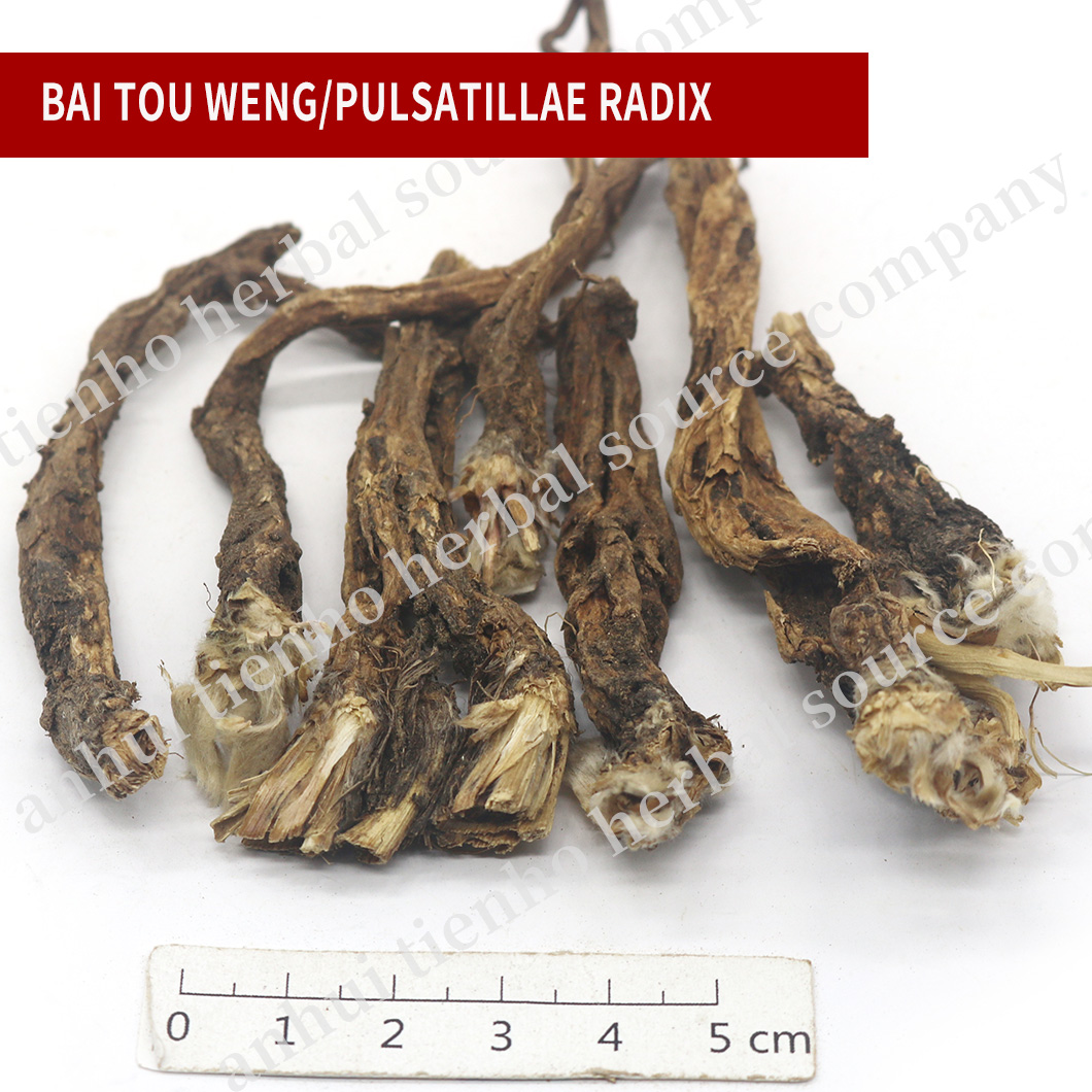 Pulsatillae Radix
