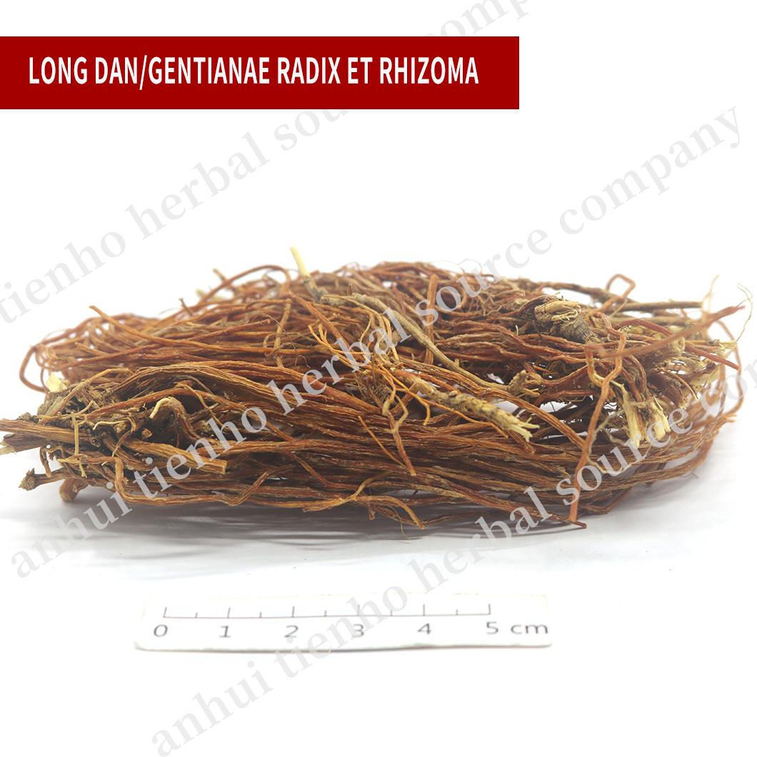 Gentianae Radix Et Rhizoma