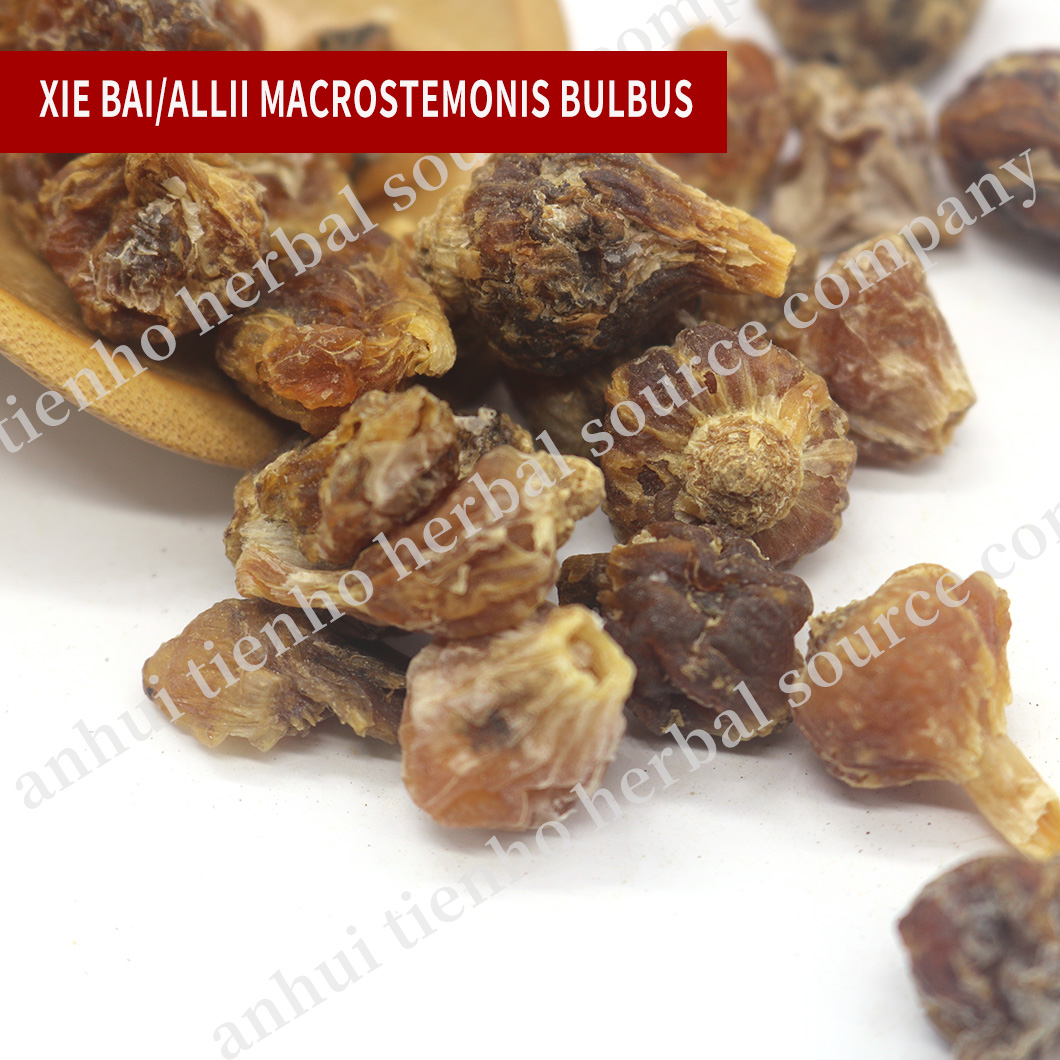 Allii Macrostemonis Bulbus