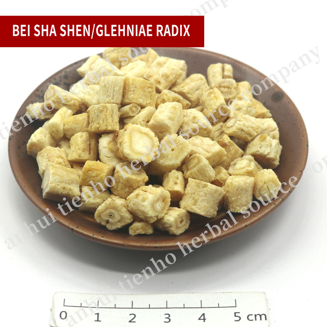 Glehniae Radix