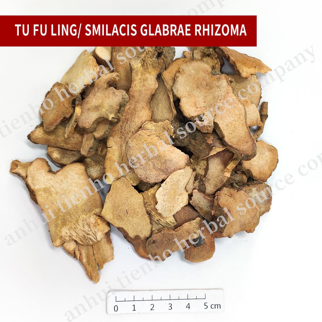 Smilacis Glabrae Rhizoma