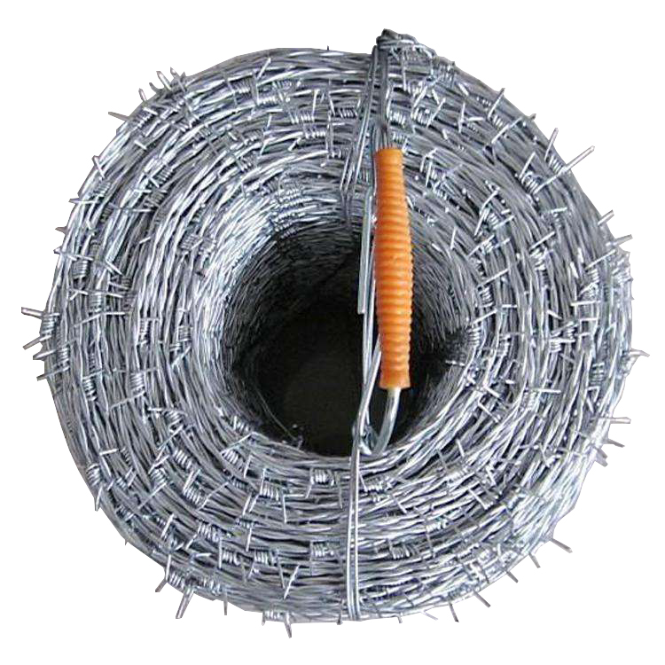 Galvanized Barbed Wire