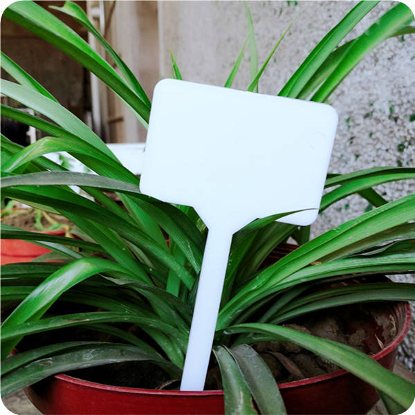 Plastic plant tag for garden