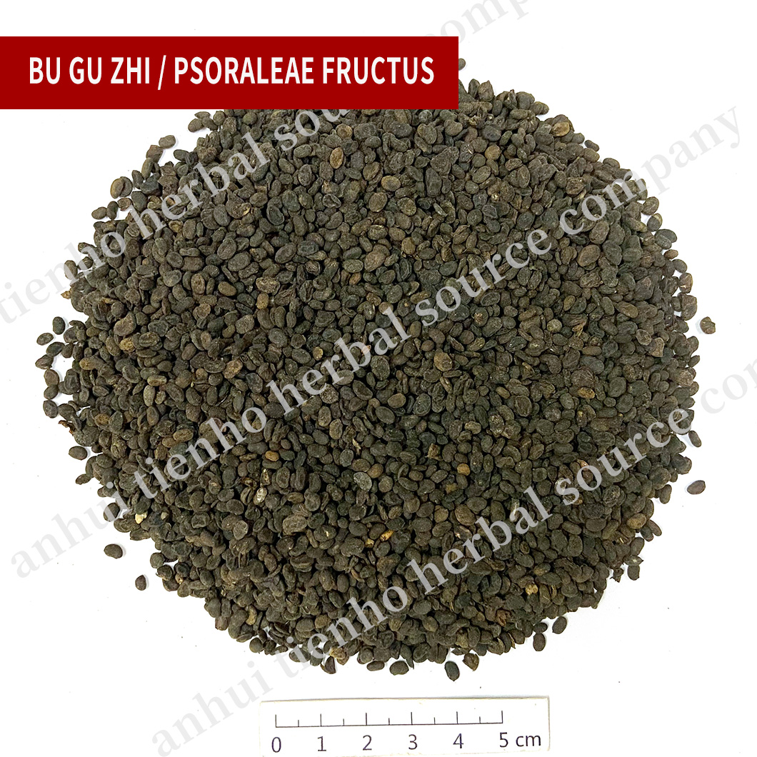 Psoraleae Fructus