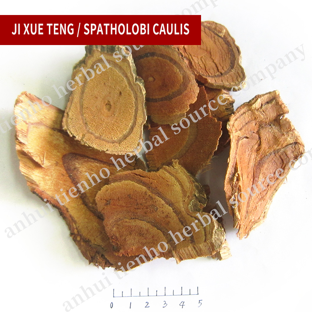Spatholobi Caulis