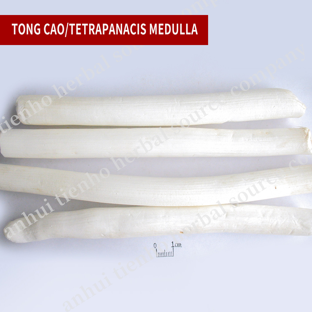 Tetrapanacis Medulla