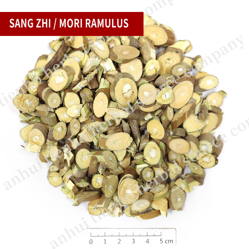 Mori Ramulus