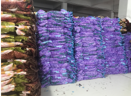 Shaoxing Shenghua Textile Co., Ltd. – tela vaquera 3