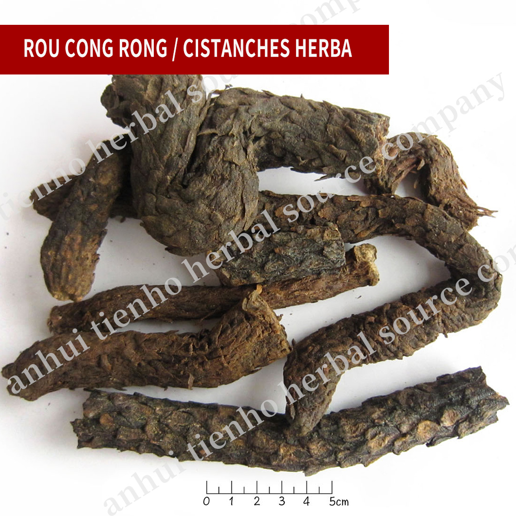 Cistanches Herba