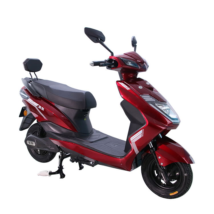 Electric motorcycle for adult