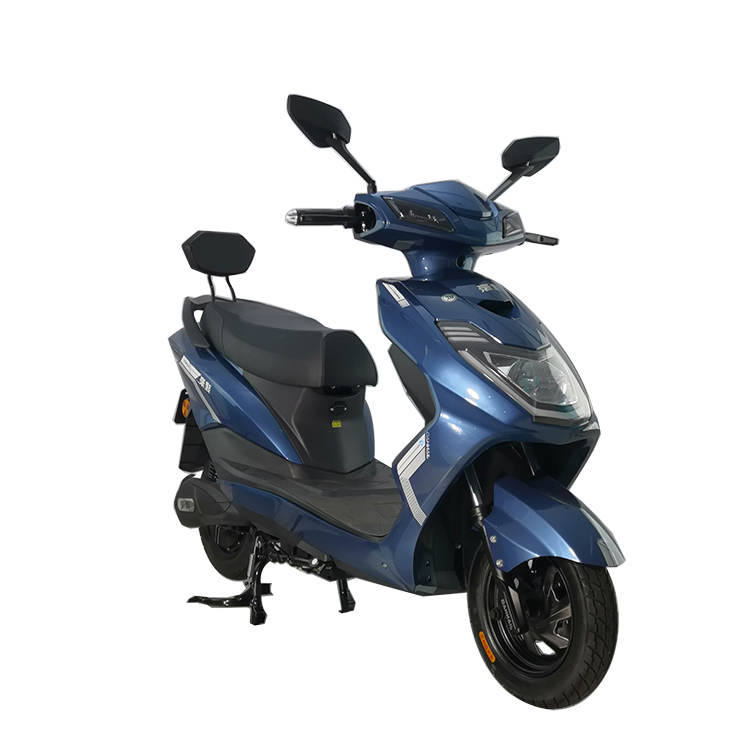 Electirc motorcycle