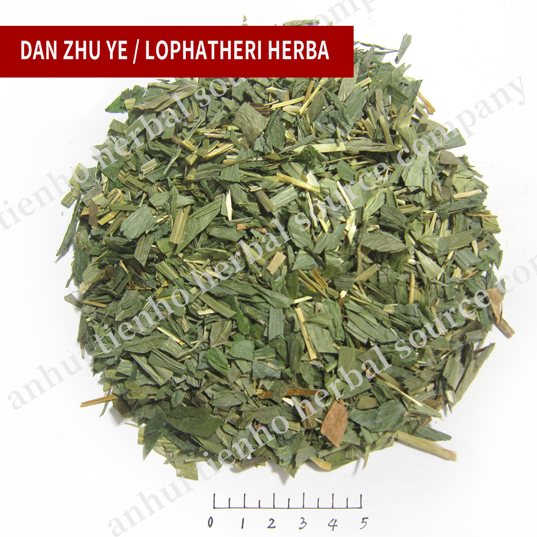 Lophatheri Herba
